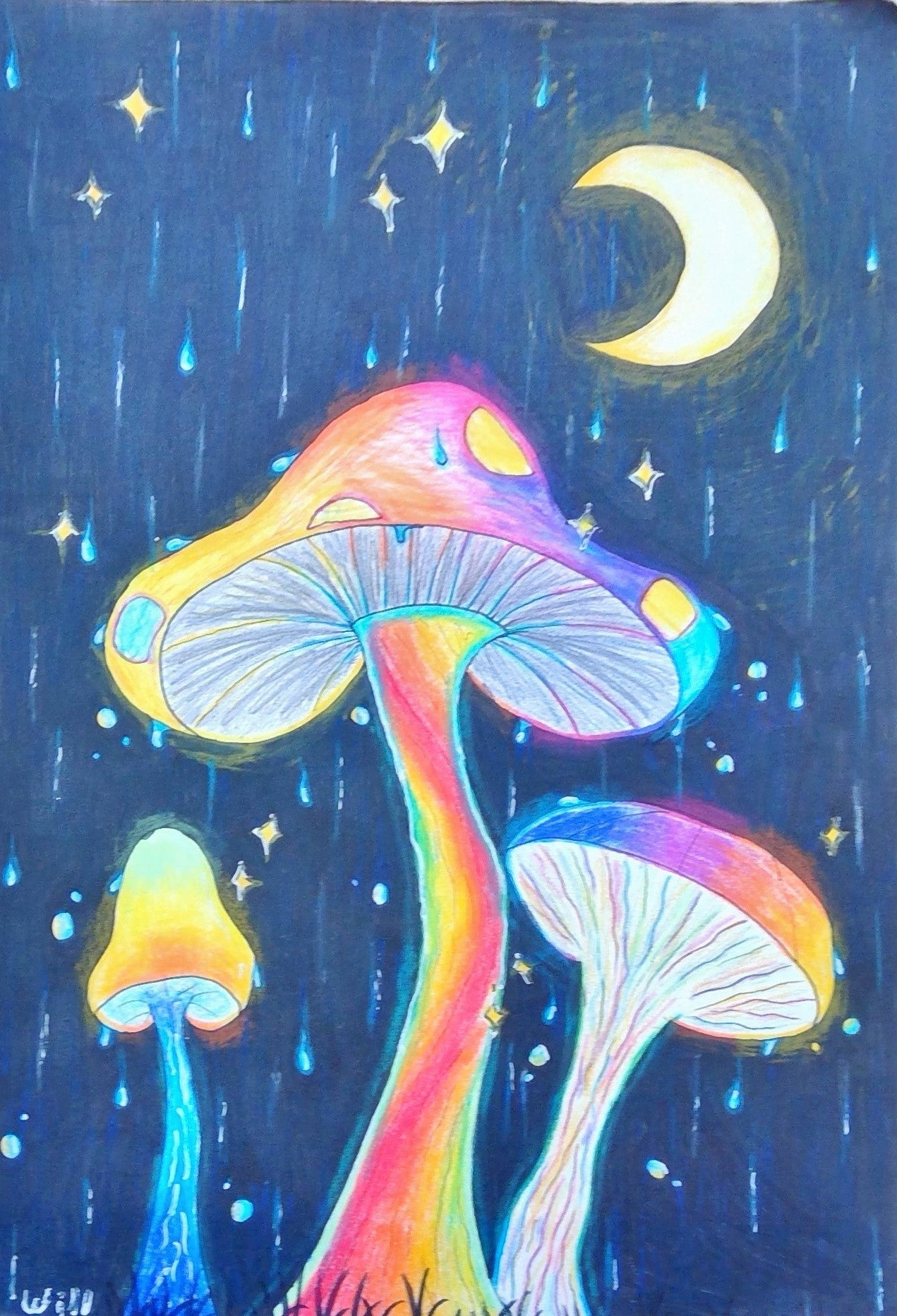 Glowing Mushrooms in the Night | Ceramic Glossy Mug